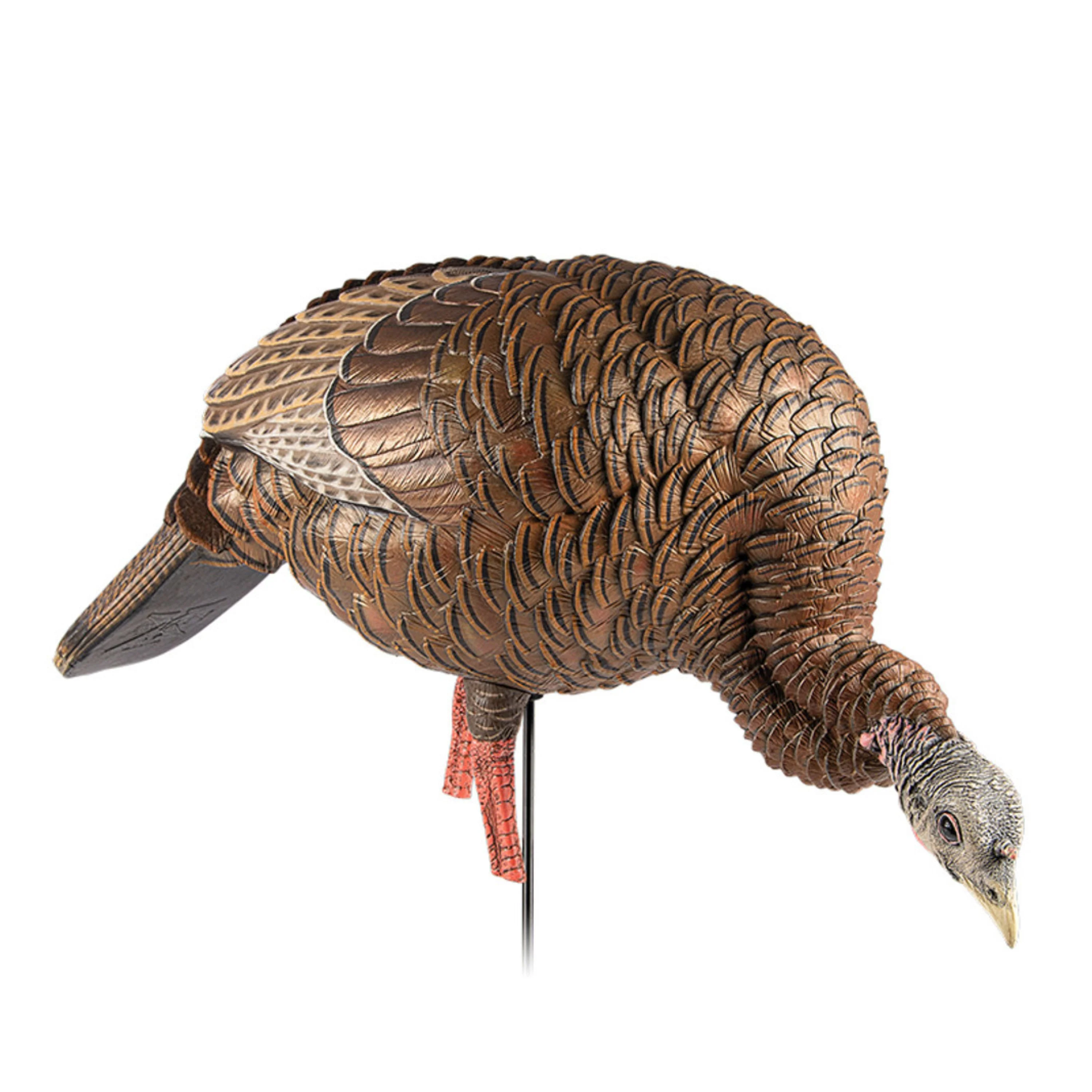 Miniature 1