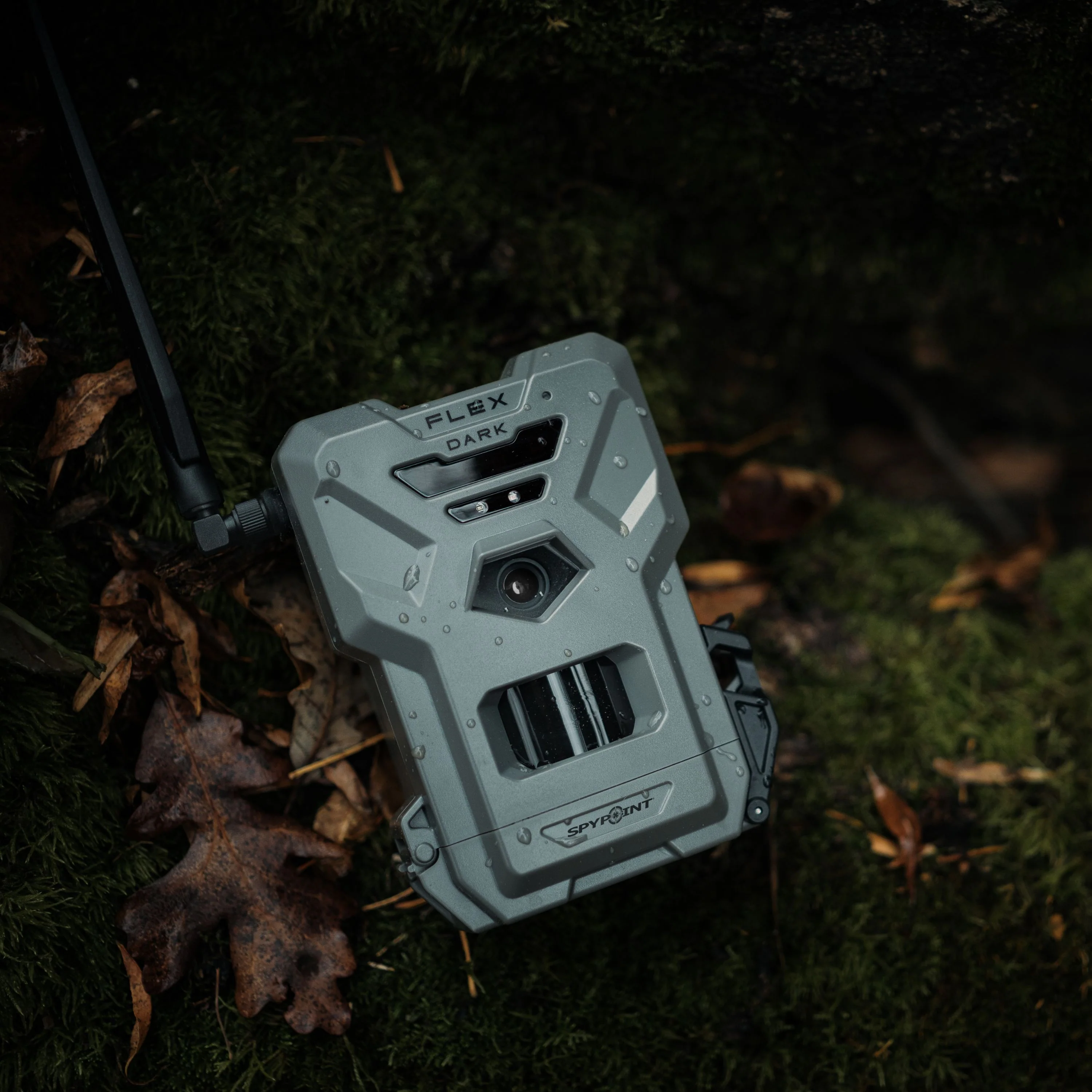Miniature 2